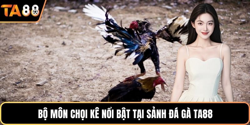 Bộ môn chọi kê nổi bật tại sảnh đá gà Ta88