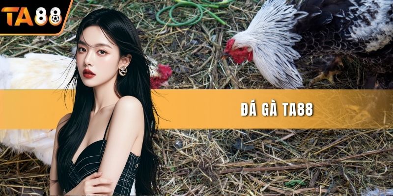Đá Gà Ta88