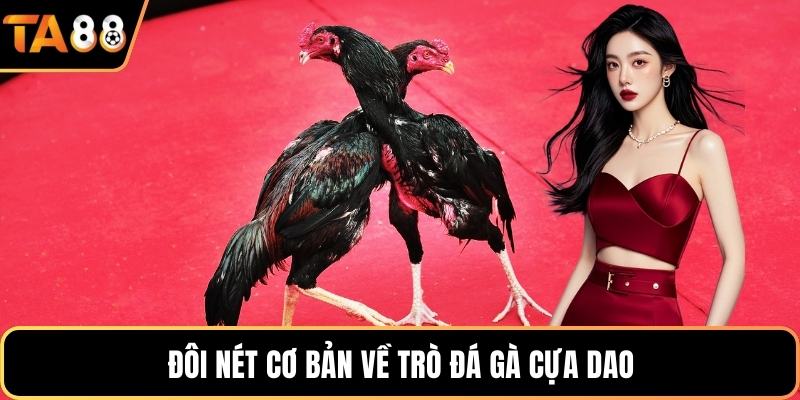 Đôi nét cơ bản về trò đá gà cựa dao