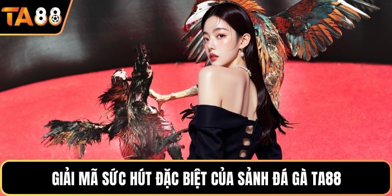 Giải mã sức hút đặc biệt của sảnh đá gà Ta88