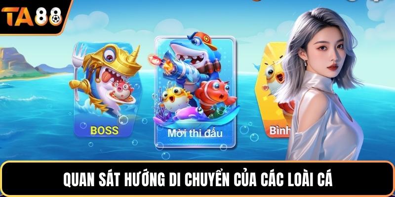 Quan sát hướng di chuyển của các loài cá