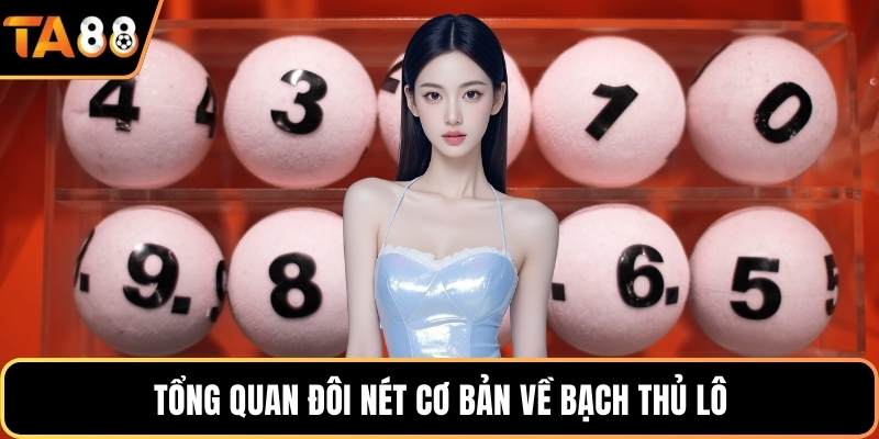 Tổng quan đôi nét cơ bản về bạch thủ lô