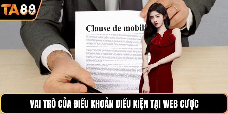 Vai trò của điều khoản điều kiện tại web cược